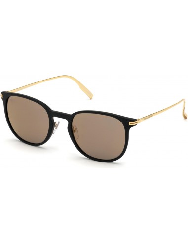 ZEGNA 0136 Sunglasses Amélioration de cerveau avec