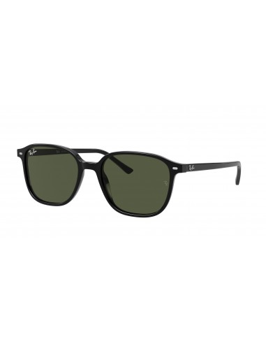 Ray-Ban Leonard 2193F Sunglasses une grave pollution 