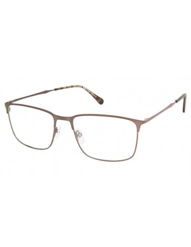 XXL Ocelot Eyeglasses une grave pollution 