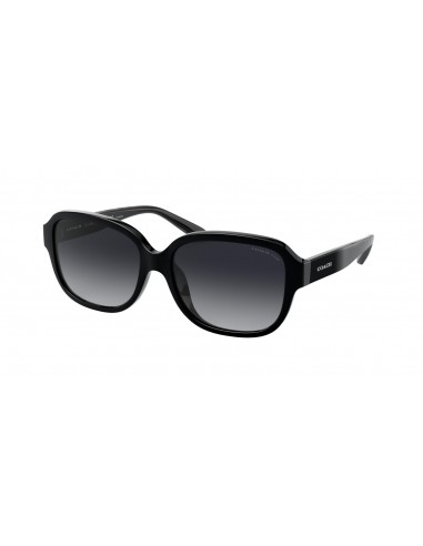 Coach L1153 8298U Sunglasses le concept de la Pate a emporter 