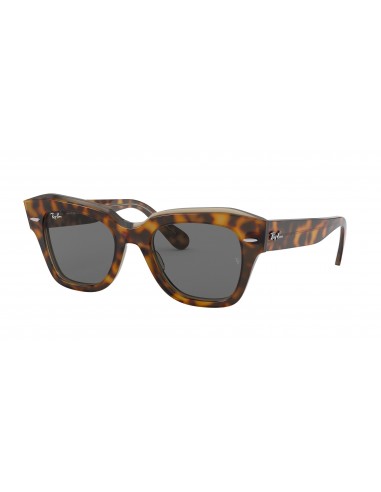 Ray-Ban State Street 2186 Sunglasses des créatures d'habitude