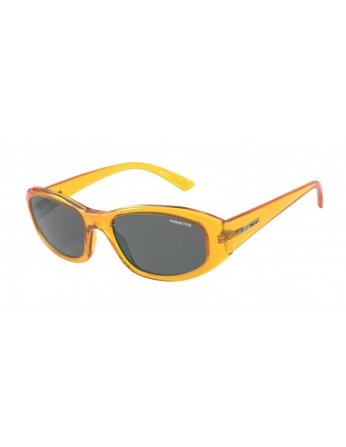 Arnette Lizard 4266 Sunglasses de pas cher