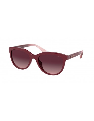 Coach L1137 8285U Sunglasses Découvrez la collection