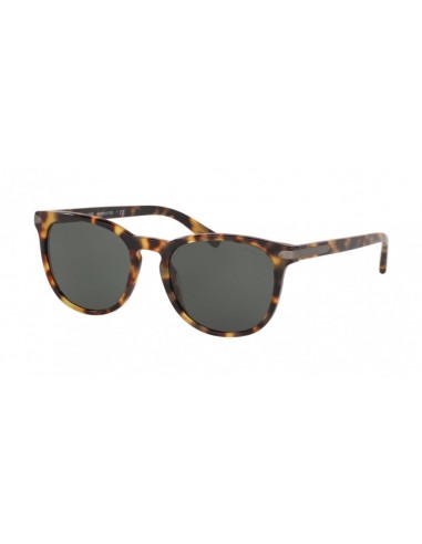 Coach L1120 8284 Sunglasses store